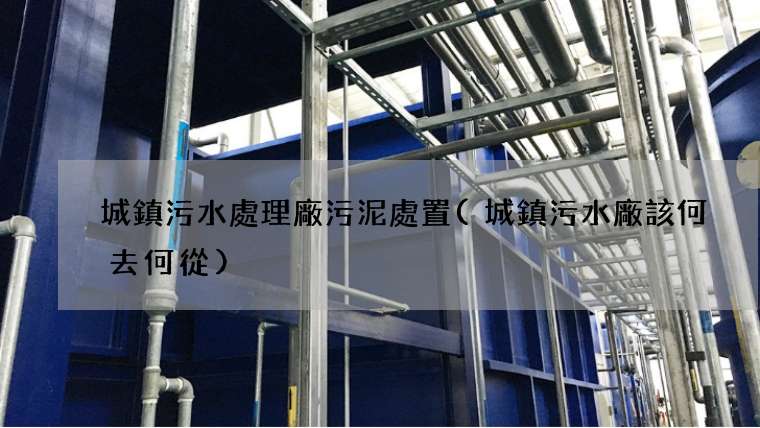 城鎮污水處理廠污泥處置(城鎮污水廠該何去何從)